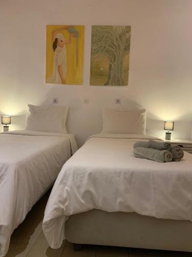 apartment_2_golden_view_apartments_arillas_corfu