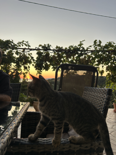 arillas_beach_golden_view_apartments_arillas_corfu_4