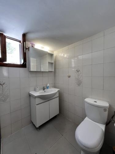 golden_view_apartment_4_arillas_rent_an_apartment_